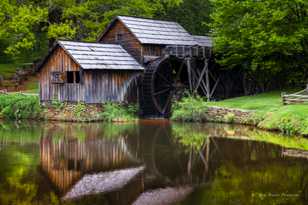 Old Mill Pond-8913-2.jpg